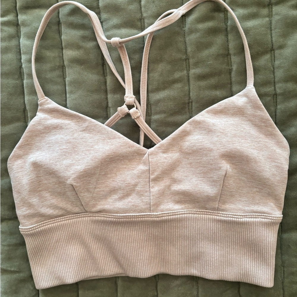 Alo Yoga Sports Bra in EUC